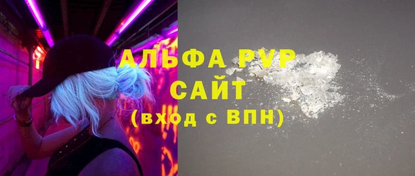 шишки Беломорск