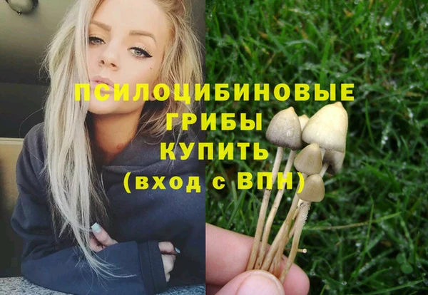 шишки Беломорск