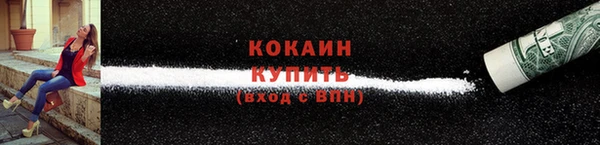 шишки Беломорск