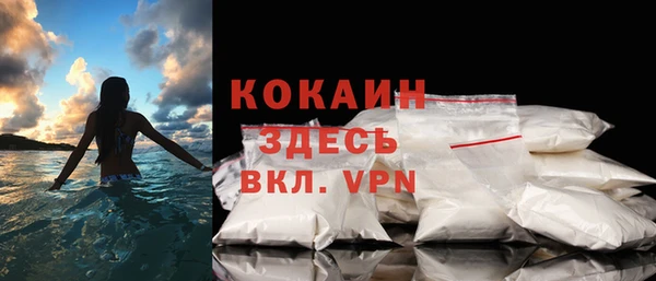 шишки Беломорск