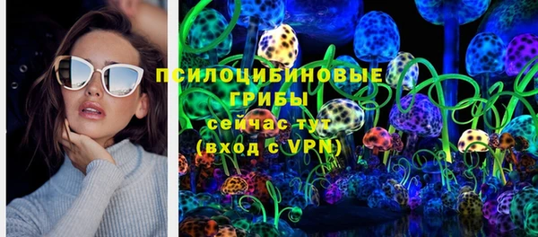 марки lsd Белокуриха