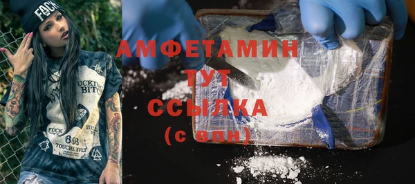 шишки Беломорск