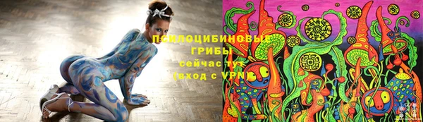 марки lsd Белокуриха