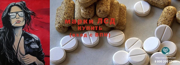 шишки Беломорск