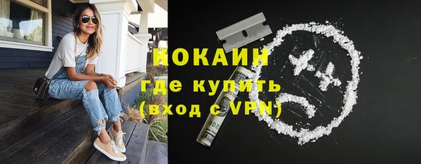 шишки Беломорск